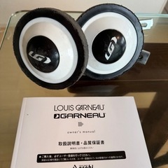 ルイガノJ16の画像