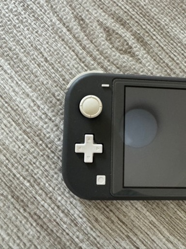 Nintendo Switchライト　グレー本体&純正アダプタ　