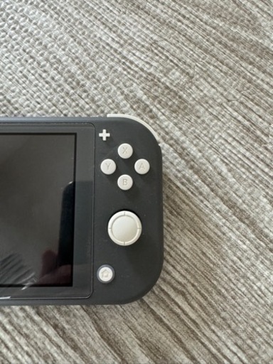Nintendo Switchライト　グレー本体&純正アダプタ　