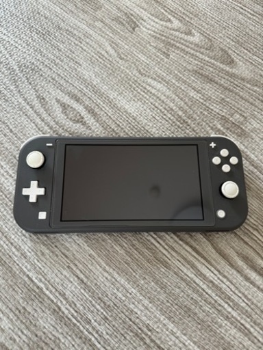 Nintendo Switchライト　グレー本体&純正アダプタ
