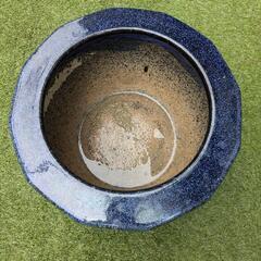 メダカ☆特大☆睡蓮鉢の画像