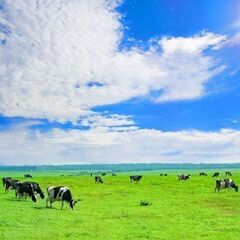 【恵庭市】バイオガス管理 ／ UIターン歓迎 ／ 月給30万～5...
