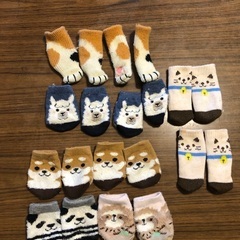 チェアソックス