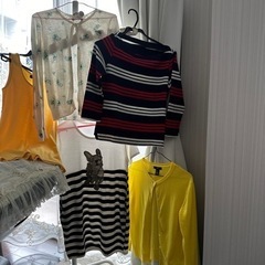 (決まりました
)5点セットearth・ユニクロ・ギャプ他