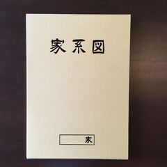 家系図 柳沼正 中身未記入 記入例付の画像