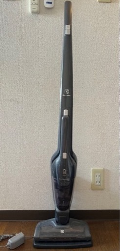 家電 生活家電 掃除機
