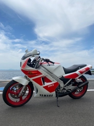 TZR250 2XT  1988年保険8年4月まで付き
