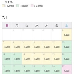 大磯ロングビーチチケット