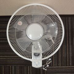 30㎝壁掛け扇風機B / C:NET(ｼｨｰﾈｯﾄ)/CKBM1...