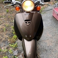 原付バイク HONDA TODAY AF67 走行距離5630キロの画像