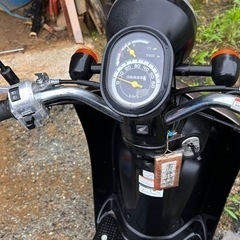 原付バイク HONDA TODAY AF67 走行距離5630キロの画像