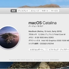 お値下げ！MacBook 12インチ 256GB/8GB  Early2015 スペースグレイの画像