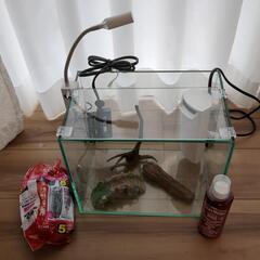 水槽