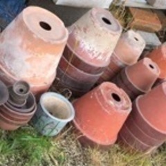 植木鉢の画像