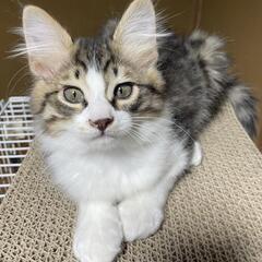 決まりました。😊💕