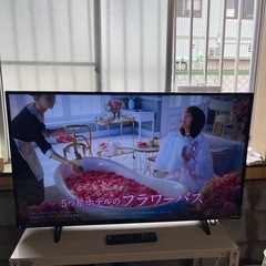 家電 テレビ 液晶テレビ
