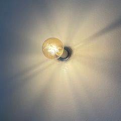 電球　アンティークの画像