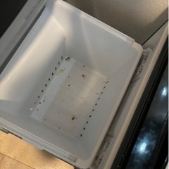 家電 キッチン家電 冷蔵庫の画像