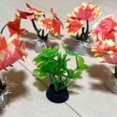 水槽用　人工水草　レイアウト　5cm 小型