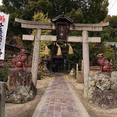 亡くなったペットからのメッセージお伝えします