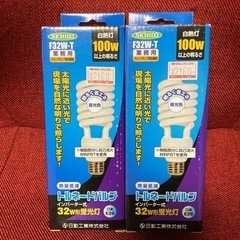 業務用白熱灯　昼光色2個セット