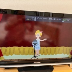 パナソニック　液晶テレビ　ビエラ　