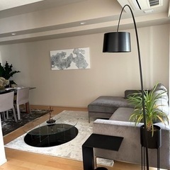 カッシーナixcラグ２枚セット