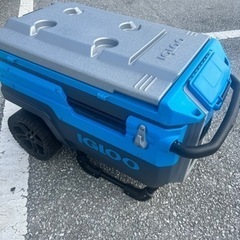 イグルー クーラーボックス