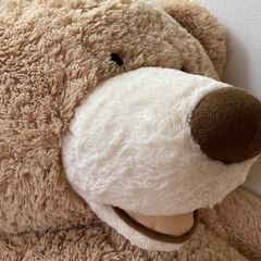 COSTCO/テディベア/160cm/ぬいぐるみの画像