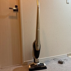 家電 生活家電 掃除機