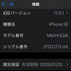 iPhone SE3/スターライト/256GB/SIMフリーの画像