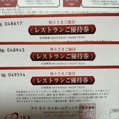 IKK アイケイケイホールディングス　株主優待券　セット　2024