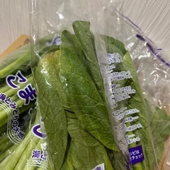 ①国産（茨城県産）こまつな4袋セットの画像