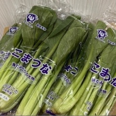 受け渡し者【決定】②国産（茨城県産）こまつな4袋セット