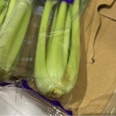 ③国産（茨城県産）こまつな4袋セットの画像