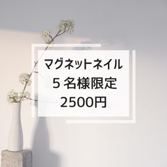 💅７月１日更新‼️10本マグネットネイル🌈2500円