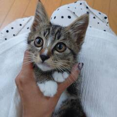 7月７日（日）里親会参加♥セリ♥