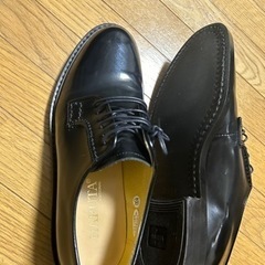 日本製HARUTAの靴、平日19:30以降です〜予約は週末でも結構です の画像