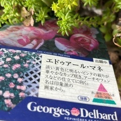 生活雑貨 家庭用品 ガーデニングの画像