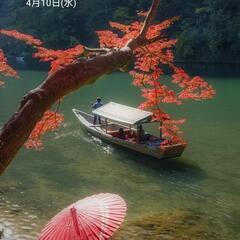 直ぐに取りに来れる方　ステンレス　寸胴　高さ45センチ　直径45...