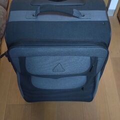 キャリーバッグ差し上げます。