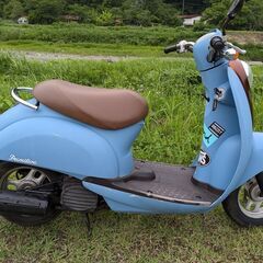 【配達無料】クレアスクーピーの画像