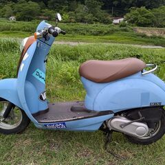 【配達無料】クレアスクーピーの画像