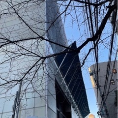 川崎、綾瀬で一人暮らし部屋あり！鳶足場月収100万以上の実績多数、社員ファーストな会社の画像