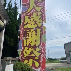 大感謝祭！ フルーツトマト苗
