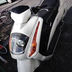 希少スズキ　ジェンマ250