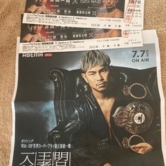 WBA.IBF世界スーパーフライ級王座統一戦