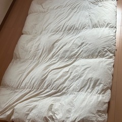 〜決まりました〜羽毛掛け布団