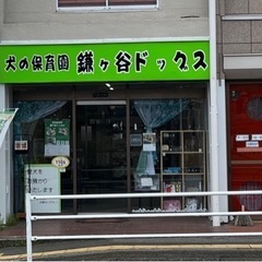 犬の保育園・デイケア「鎌ケ谷ドッグス」