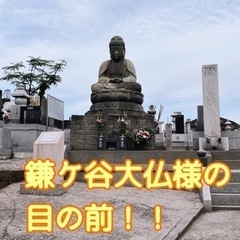 犬の保育園・デイケア「鎌ケ谷ドッグス」 - 鎌ケ谷市